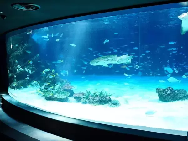 「『ヘブンバーンズレッド』×「サンシャイン水族館」コラボ開催！茅森＆瑞原の音声ガイドで見どころを楽しめる【現地レポ】」の画像