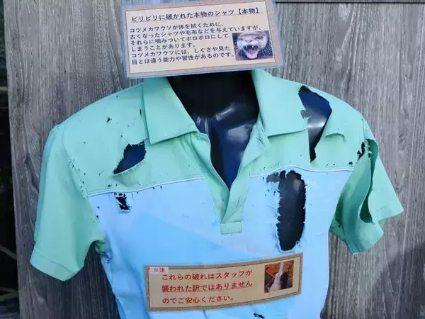 「『ヘブンバーンズレッド』×「サンシャイン水族館」コラボ開催！茅森＆瑞原の音声ガイドで見どころを楽しめる【現地レポ】」の画像