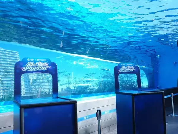 「『ヘブンバーンズレッド』×「サンシャイン水族館」コラボ開催！茅森＆瑞原の音声ガイドで見どころを楽しめる【現地レポ】」の画像