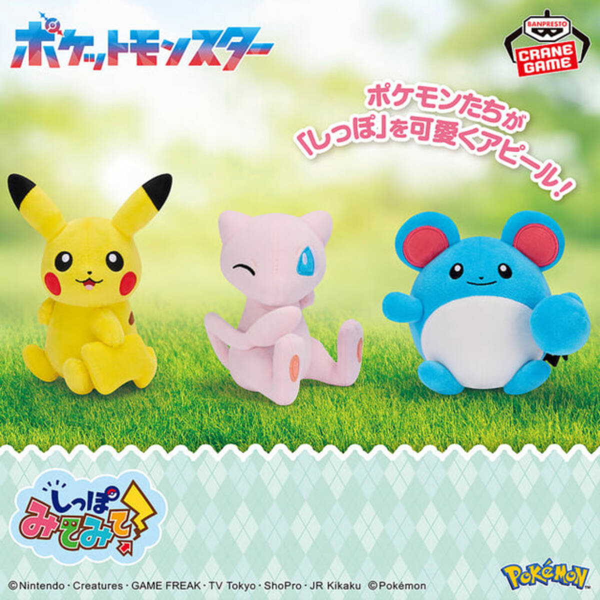 11月登場予定『ポケモン』クレーンゲーム景品をチェック！大きな 