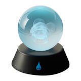 「『ポケモン ファイアレッド・リーフグリーン』スイッチ版正式発表！“当時のGBAパッケージ”を再現した特別版もラインナップ」の画像15