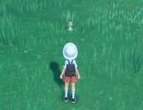 「ルビサファの思い出が蘇る…『ポケモンSV』序盤の草むらでトレーナーたちが童心に帰った理由」の画像1