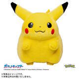 「まだ間に合う！即完売した『ポケモン』30周年記念「おかえり！ピカチュウ1/1」 が抽選販売、丸っとしたフォルムが懐かしくてかわいい」の画像7