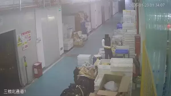 「中国大手フィギュアメーカーの製造工場で火災発生―作業員による“故意の放火”で、『アズレン』『アークナイツ』など一部製品が焼失」の画像