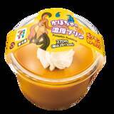 「セブン-イレブンにて『ポケモンレジェンズZ-A』発売記念キャンペーン開催！クリアファイル配布など、豪華3つの企画実施」の画像10