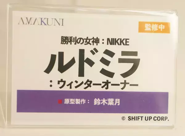 「『勝利の女神：NIKKE』が脅威の展示数！背中で魅せるフィギュアが「ワンフェス」に大集結【WF2026冬】」の画像