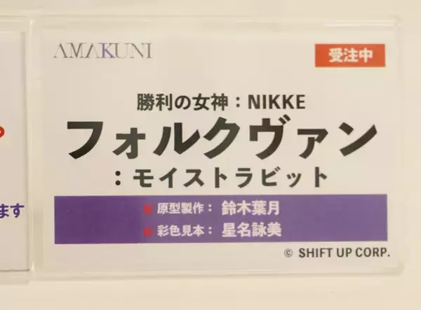 「『勝利の女神：NIKKE』が脅威の展示数！背中で魅せるフィギュアが「ワンフェス」に大集結【WF2026冬】」の画像