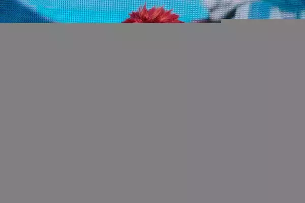 「【AnimeJapan 2026】『FGO』ブースが豪華絢爛すぎ！公式コスプレイヤーの出迎えから第2部終章の振り返りまで、見どころをお届け【フォトレポート】」の画像