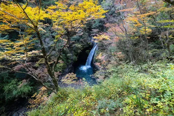 「【特集】紅葉・滝・廃校舎…どこで撮影しても絵になる場所があったのか！「コスプレ×徳島県那賀町の絶景」永久保存版をお届け【写真69枚】」の画像