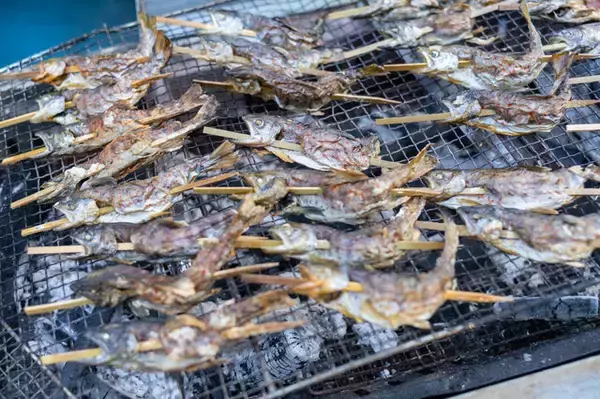 「【特集】紅葉・滝・廃校舎…どこで撮影しても絵になる場所があったのか！「コスプレ×徳島県那賀町の絶景」永久保存版をお届け【写真69枚】」の画像