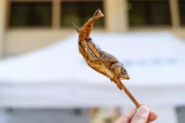 「【特集】紅葉・滝・廃校舎…どこで撮影しても絵になる場所があったのか！「コスプレ×徳島県那賀町の絶景」永久保存版をお届け【写真69枚】」の画像