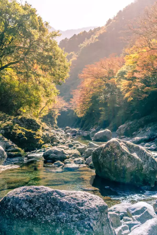 「【特集】紅葉・滝・廃校舎…どこで撮影しても絵になる場所があったのか！「コスプレ×徳島県那賀町の絶景」永久保存版をお届け【写真69枚】」の画像