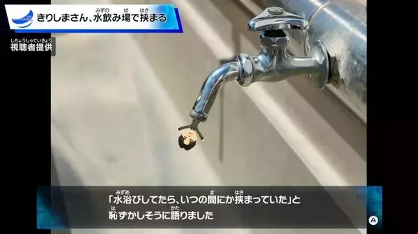 「「いいぞもっとやれ！」『トモコレ わくわく生活』のイカした世界観に絶賛の声─福袋からなぜライオン？ ヤバすぎるニュース画像に、土鍋もにっこり完食」の画像