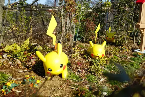 「ここはポケモンたちの鳴き声が聞こえる町。『ポケパーク カントー』のカヤツリタウンへ行こうよ【内覧会レポート】」の画像