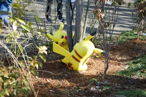 「ここはポケモンたちの鳴き声が聞こえる町。『ポケパーク カントー』のカヤツリタウンへ行こうよ【内覧会レポート】」の画像