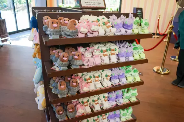 「ここはポケモンたちの鳴き声が聞こえる町。『ポケパーク カントー』のカヤツリタウンへ行こうよ【内覧会レポート】」の画像