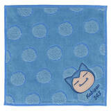 「ピカチュウ、イーブイなどが可愛くデザイン！『ポケモン』新作ハンカチが販売中―アップリケ刺繡のタオルハンカチも」の画像14