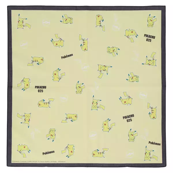 「ピカチュウ、イーブイなどが可愛くデザイン！『ポケモン』新作ハンカチが販売中―アップリケ刺繡のタオルハンカチも」の画像