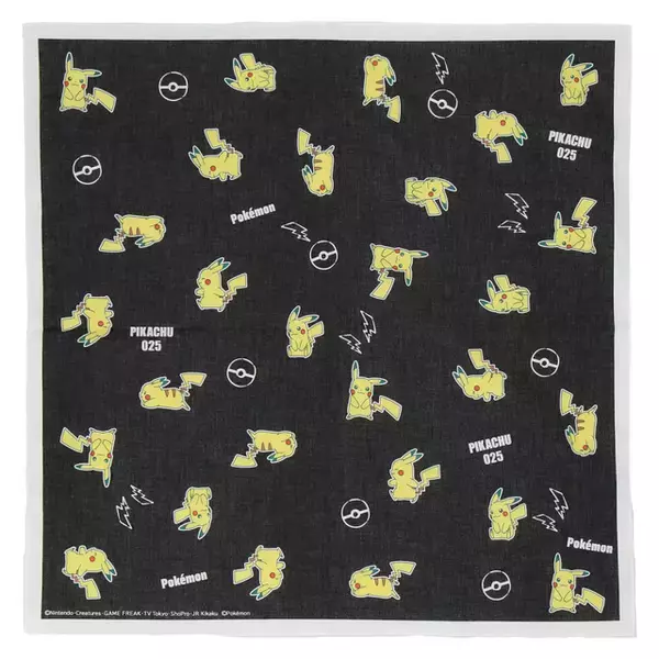 「ピカチュウ、イーブイなどが可愛くデザイン！『ポケモン』新作ハンカチが販売中―アップリケ刺繡のタオルハンカチも」の画像