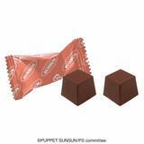 「「パペットスンスン」チョコレート7商品がどれも可愛い！スンスンを中心に、ノンノンやゾンゾンをプリントしたチョコ缶など」の画像9