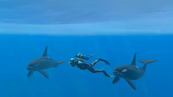 「登場する生き物は500種類以上！『フォーエバーブルー ルミナス』公式サイトが公開―最大30人でのダイビングも」の画像