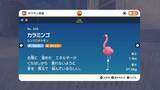 「ポッポから遠く離れて…『ポケモン』シリーズ“序盤の鳥”で歴代最強かもしれないカラミンゴ」の画像2