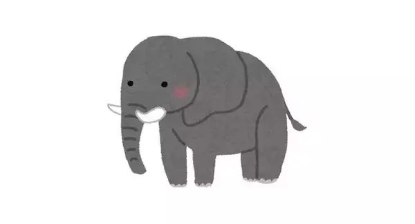 人類とポケモンだけじゃない？『ポケモン』の世界に存在する“唯一の動物”