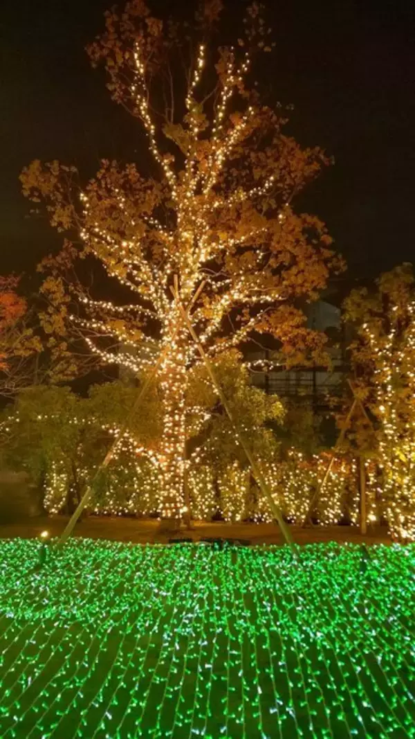 「ニンテンドーミュージアムがライトアップ！アートギャラリーや『マリオ』40周年記念イベントなど期間限定施策を見てきました【レポート】」の画像