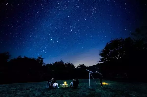 「『あつまれ どうぶつの森』魚釣り、星空観察、DIYなどがリアルに楽しめるイベント開催へ―“木”など限定グッズも販売予定」の画像