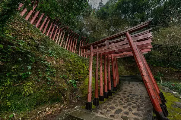 「【コスプレ】日本三大稲荷や酒造通り、寺院を開放！優美で艶やかな雷電将軍が「acosta!＠佐賀県鹿島市」に降臨【写真43枚】」の画像