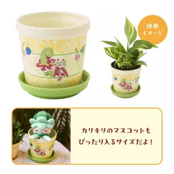「『ポケモン』抱えるほどデカい「キマワリ」のクッション！香り付きマスコットなど、お花モチーフのポケモンに注目したグッズが新登場」の画像