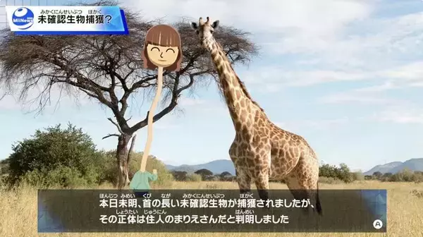 「スイッチ『トモダチコレクション わくわく生活』4月16日発売！『あつ森』みたいな島クリ要素もアツい」の画像