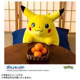 「即完売した『ポケモン』30周年記念「おかえり！ピカチュウ1/1」 が抽選販売実施中！丸っとしたフォルムが懐かしくてかわいい」の画像6