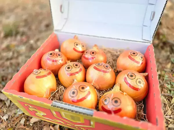 「HD-2D版『ドラクエI＆II』×「ドラゴンクエスト アイランド」コラボイベント開催決定！2025年11月中よりスタート予定」の画像