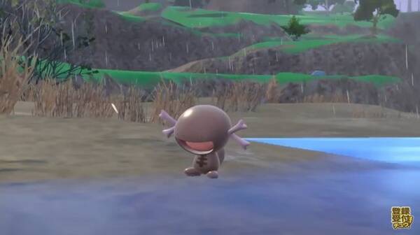 ポケモン スカーレット バイオレット 新ポケモン発表 キュートな パピモッチ 地上で暮らす ウパー パルデアのすがた パワフルな ハルクジラ 22年8月3日 エキサイトニュース