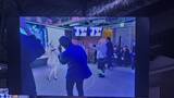 「ミリ波通信で進化した、凪乃ましろ3Dトークライブ体験レポート――ARグラス越しの“存在感”」の画像3