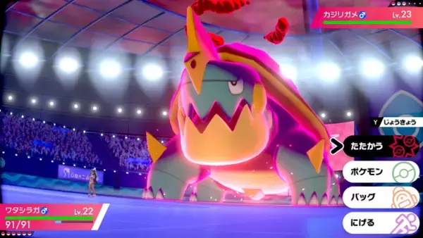 「スイッチ『ポケモン ソード・シールド』ジムリーダー「ルリナ」のプロフィールが明らかに─レイドバトルでは「おうえん」が鍵になる？」の画像