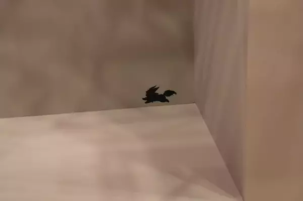 「あんなところからこんなところまで！FGOフェスで隠しフォウくん探してみた」の画像