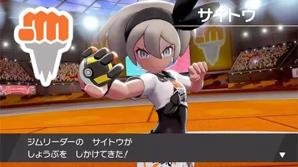 「『ポケモン ソード・シールド』発売前にバージョン毎の違いをチェック！違いの分かった今、どちらのソフトを購入する？【読者アンケート】」の画像