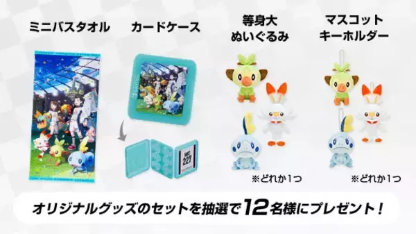 ポケモン ソード・シールド』パッケージ版購入者に向けたアンケートが 