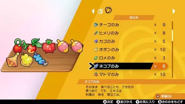 「『ポケモン ソード・シールド』親子で挑むカレー作り！子供ならではの斬新な調理に仰天─ “誕生日”に隠された秘密に大盛り上がり」の画像