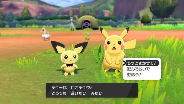 ポケモン ソード シールド 個性あふれるnpcのキャンプに突撃取材 ポケモン好きにはたまらない楽園 何度でも足を運んじゃう 19年12月11日 エキサイトニュース