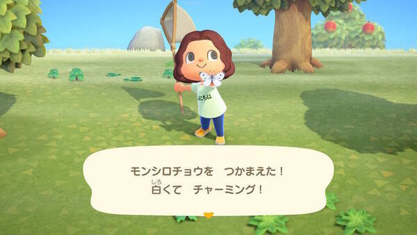 あつまれ どうぶつの森 Gwはおうちで生き物を触れ合おう リアルになったグラフィックを使えば家族でクイズが楽しめる 年5月5日 エキサイトニュース
