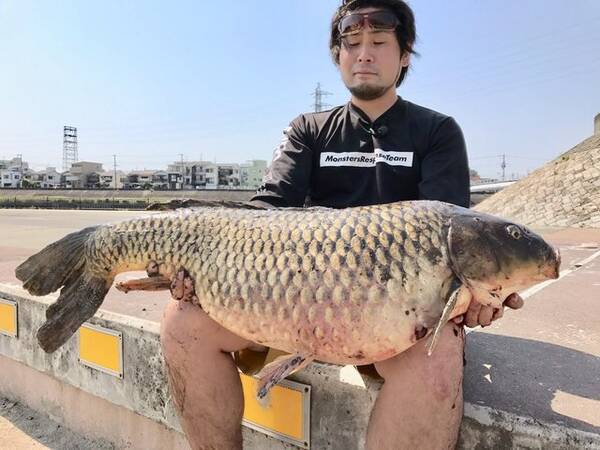 あつまれ どうぶつの森 カッコイーッ そして意外とスゴイーッ コイってどんな魚 平坂寛の あつ森 博物誌 年5月21日 エキサイトニュース