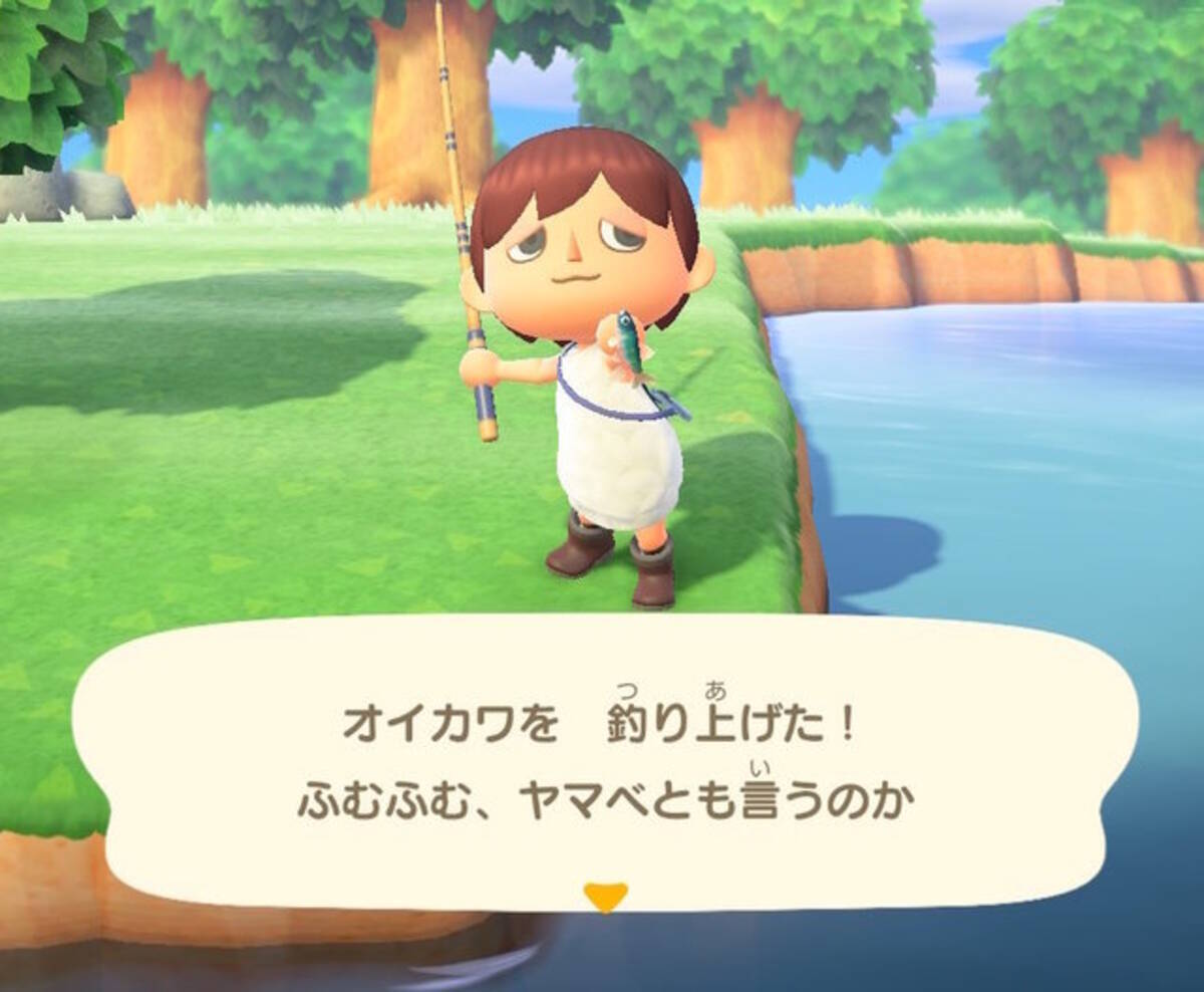 雑魚のくせして超キレイ あつまれ どうぶつの森 で釣れるオイカワってどんな魚 平坂寛の あつ森 博物誌 2020年6月4日 エキサイトニュース