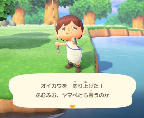 雑魚のくせして超キレイ あつまれ どうぶつの森 で釣れるオイカワってどんな魚 平坂寛の あつ森 博物誌 年6月4日 エキサイトニュース