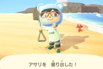『あつまれ どうぶつの森』の「アサリ」は差別されている説!? 同じ生き物なのになぜか哀れな二枚貝を解説