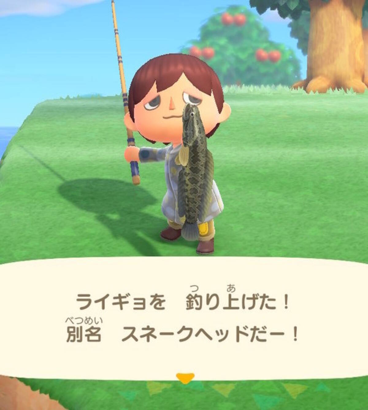雷が鳴るまで離さない あつまれ どうぶつの森 で釣れる ライギョ ってどんな魚 平坂寛の あつ森 博物誌 年8月日 エキサイトニュース 3 3