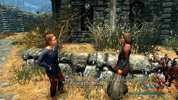 「『The Elder Scrolls V: Skyrim』地味に記憶に残るセリフ9選！「膝に矢を受ける」だけじゃもったいない【ホワイトラン付近まで】」の画像