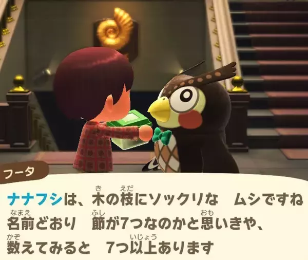 「擬態の名手！『あつまれ どうぶつの森』に登場するナナフシをリアルで探す大変さについて【平坂寛の『あつ森』博物誌】」の画像